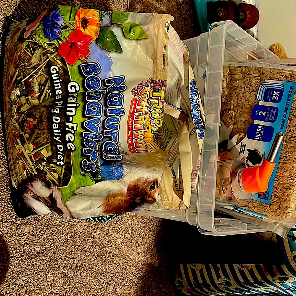 Bedding cage Ginny pig food and bottle